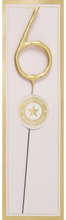 Lade das Bild in den Galerie-Viewer, 6 gold Goldstück pink Wondercandle® classic