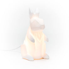 Lade das Bild in den Galerie-Viewer, Nachtlichter Dino oder Hase, klein